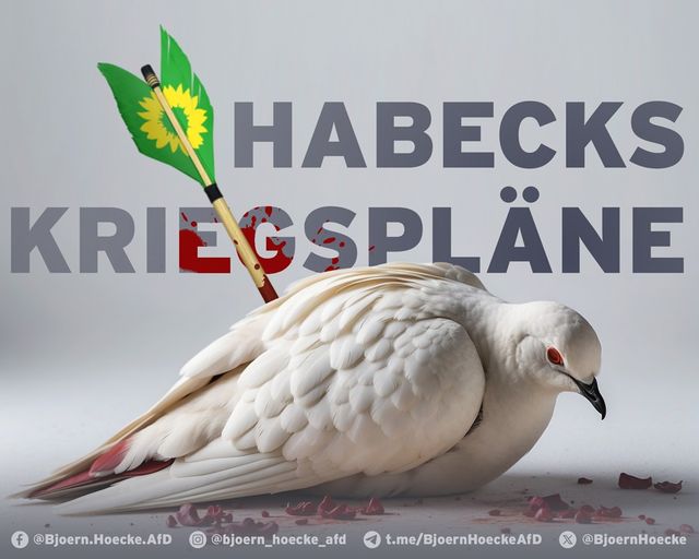 Habecks Kriegspläne