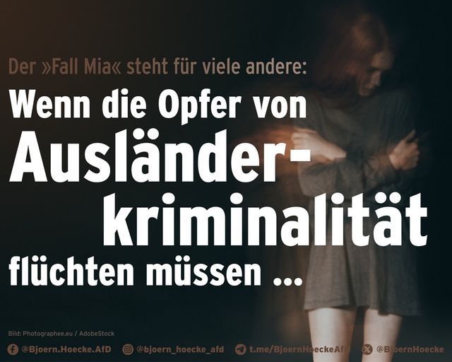 Wenn die Opfer von Ausländerkriminalität flüchten müssen