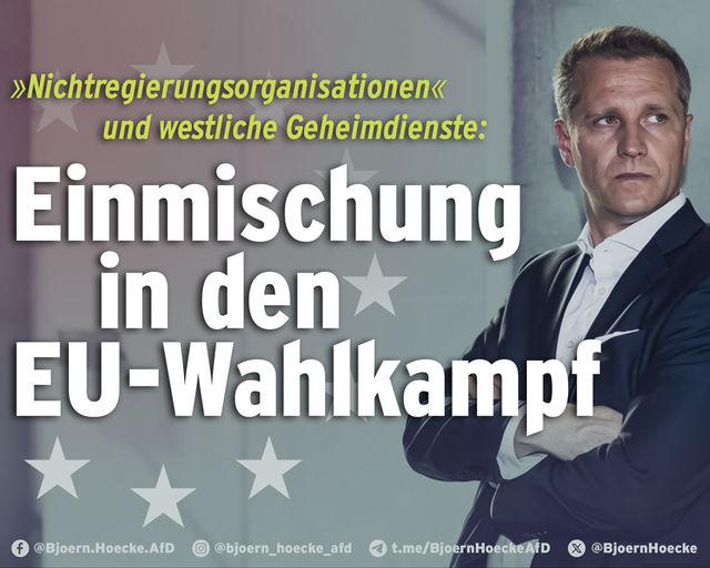 NGO & westliche Geheimdienste: Einmischung in den EU-Wahlkampf