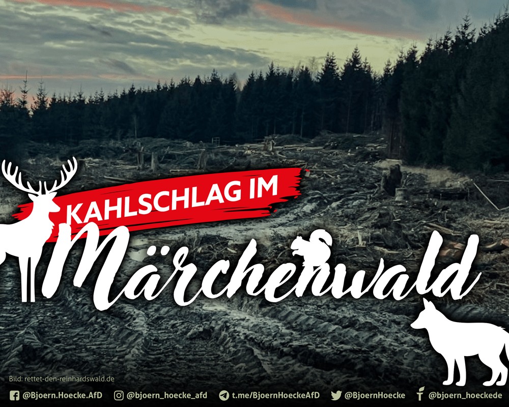 Kahlschlag im Märchenwald