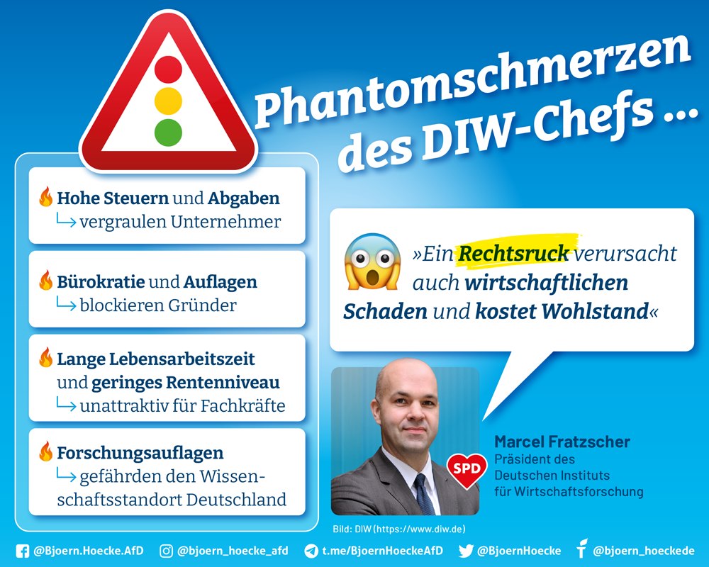 Phantomschmerzen des DIW-Chefs