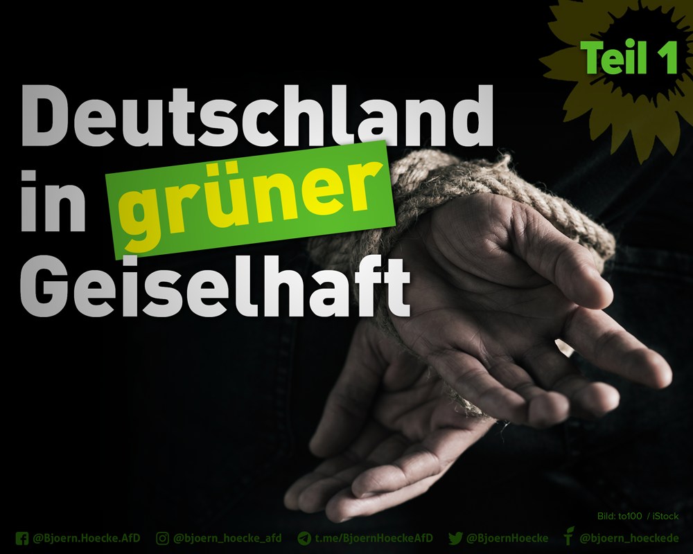 Deutschland in grüner Geiselhaft. Teil 1: Die Parteien