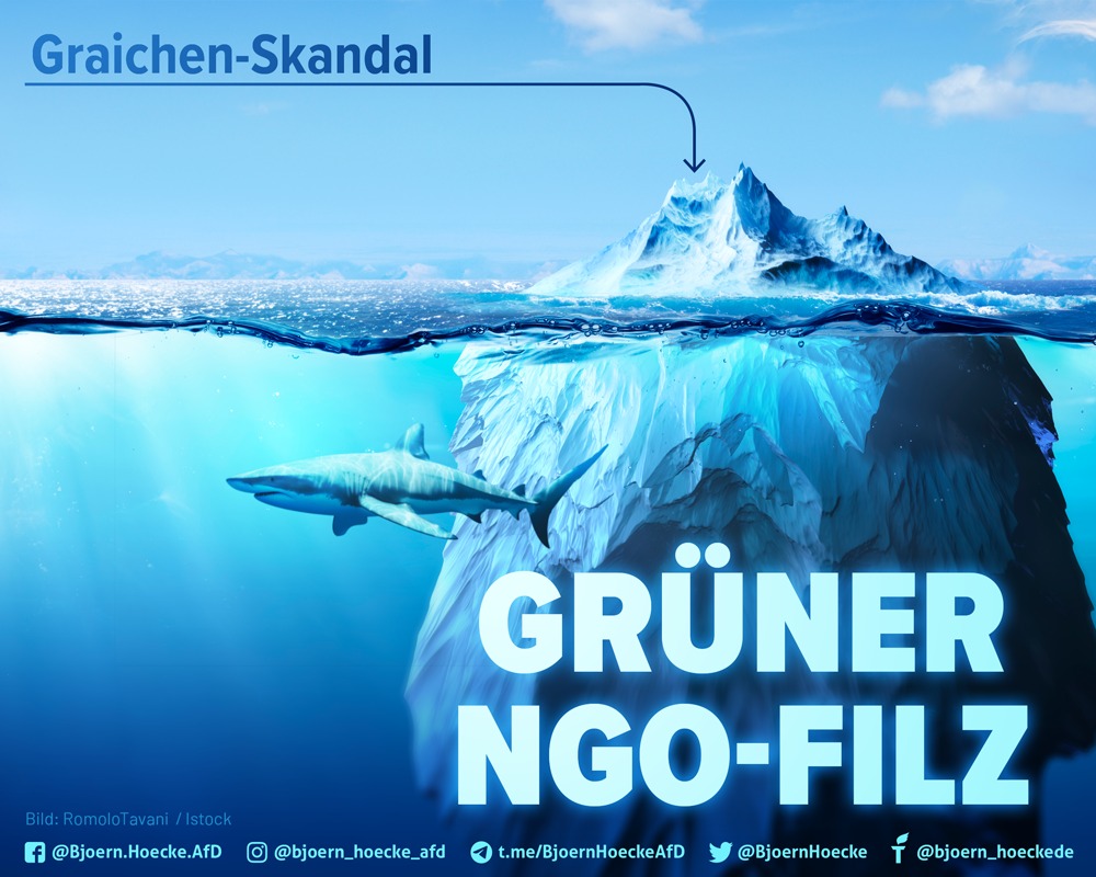 Graichen & GRÜNER NGO-Filz