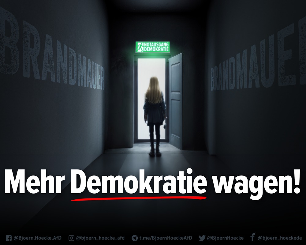 Mehr Demokratie wagen!