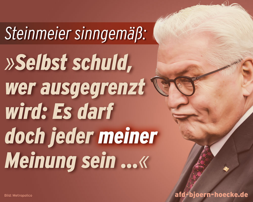 Steinmeier hat sich endgültig disqualifiziert