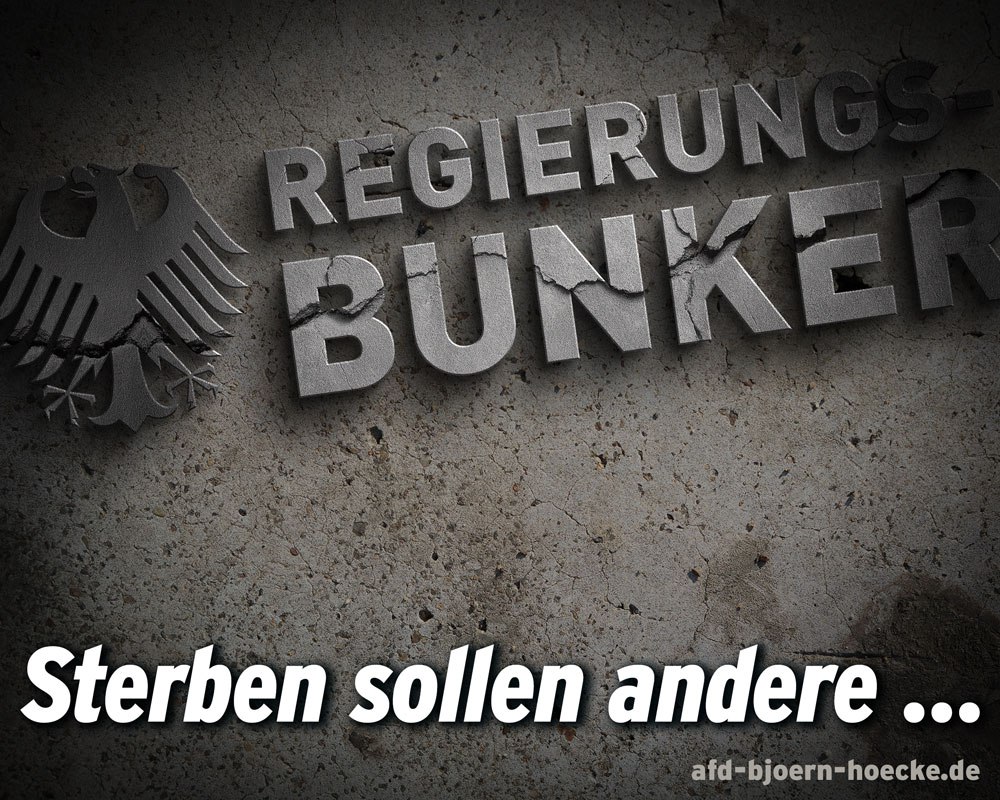 photo_2025-11-07_11-50-48