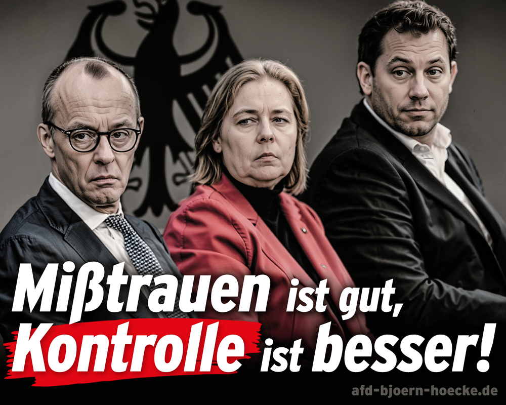 Höcke_Allensbach_2025