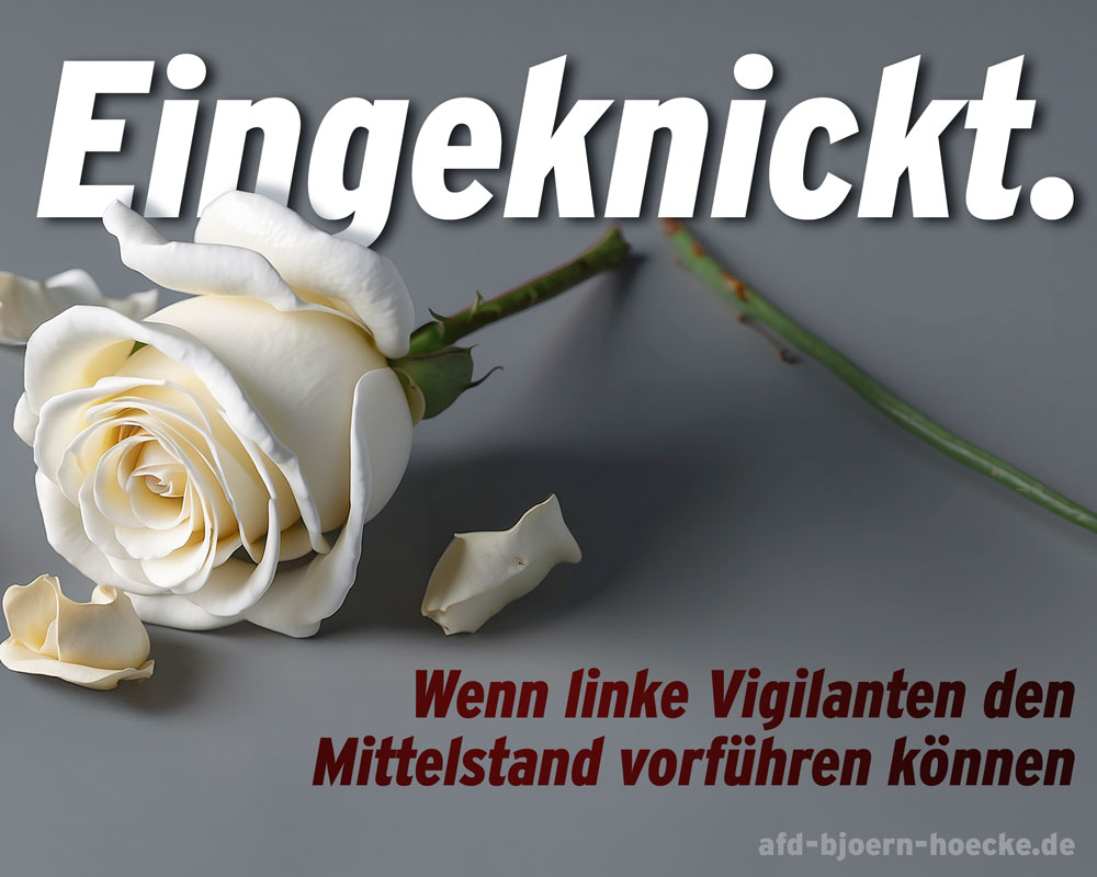 Auftritt der Vigilanten