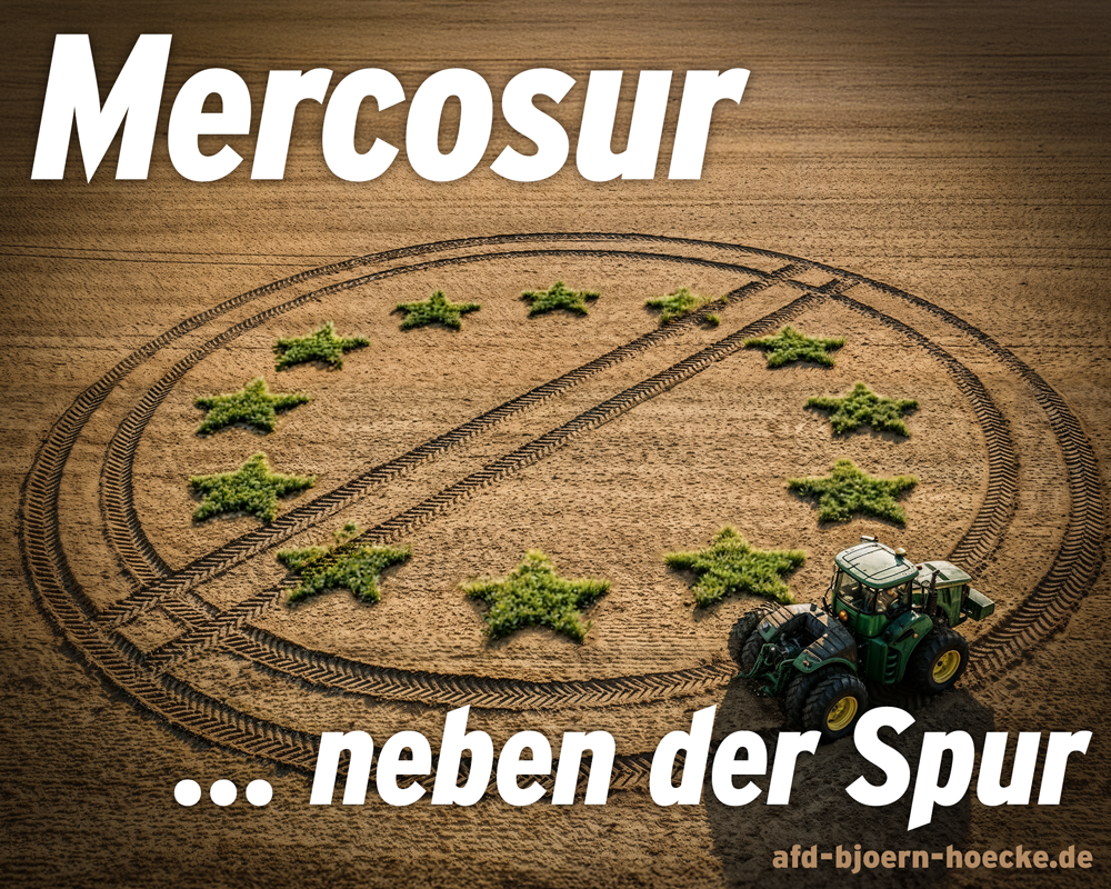 Von den Risisken des Freihandels