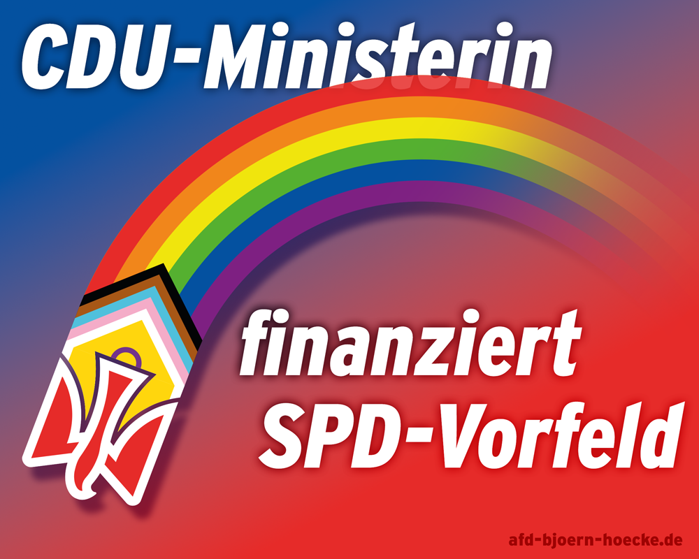 Fragwürdige NGO-Förderung