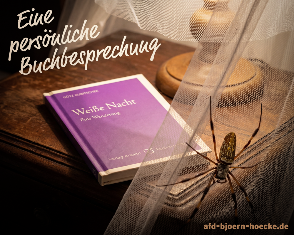 Weiße Nacht – eine Buchbesprechung